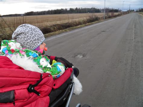 lindas allehanda promenad i ett snöfritt landskap