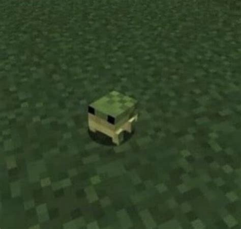 Minecraft Frog Blank Template Imgflip