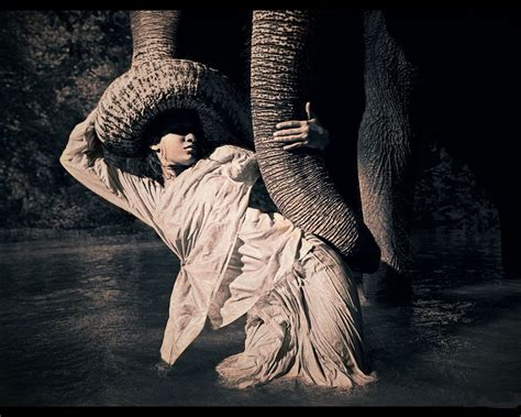 Gregory Colbert Ashes And Snow Gregory Colbert Photo Elephant