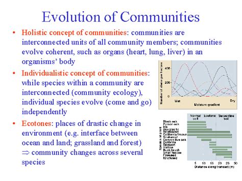 Evolution Of Communities