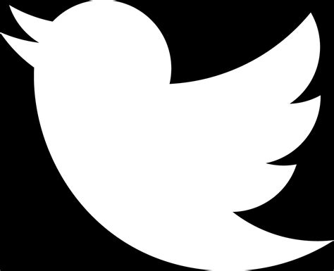 White Twitter Bird Transparent Background Hd Png Download Twitter