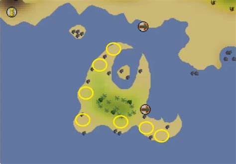 Osrs Sand Crabs Guide Xp Rates And Locations