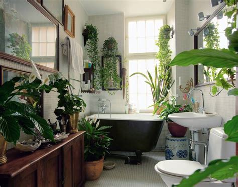 Best Plants That Suit Your Bathroom Fresh Decor Ideas Comometal