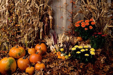 Fall Scene Wallpaper With Pumpkins 52 Images