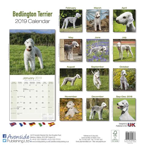 Bedlington Terrier Calendar Dog Breed Calendars Megacalendars