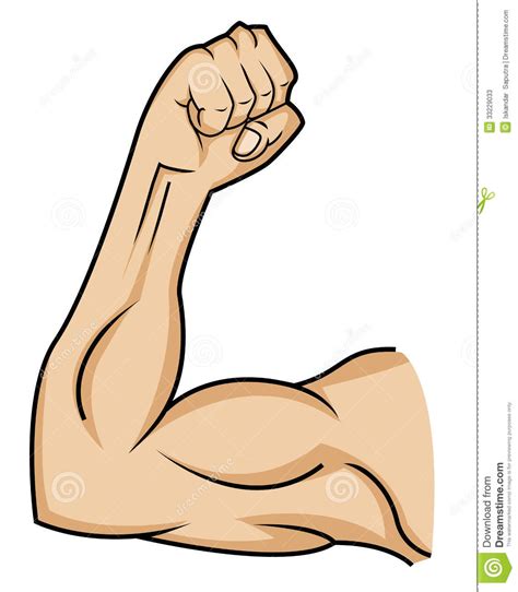 Arm Clipart Muscle Picture 231859 Arm Clipart Muscle