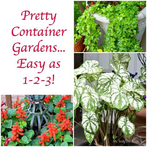 Pretty Container Gardens Made Easy A Little Claireification