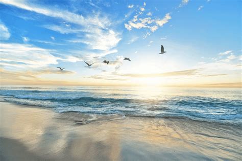 We've rounded up the best zoom backgrounds that'll refresh your space for free. Five Cinemagraph Uses for Your Digital Marketing | MGR ...