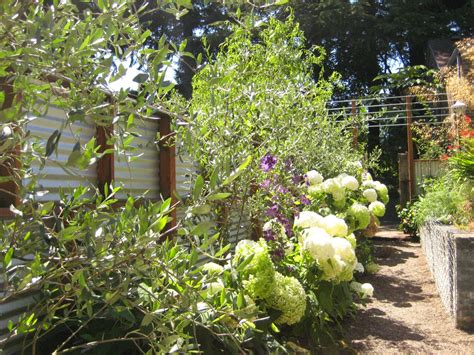 Garden Bloggers Fling Portland Jj De Sousas Garden