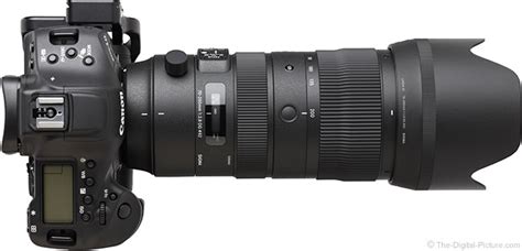 Sigma 70 200mm F 2 8 Dg Os Hsm Sports Lens Review