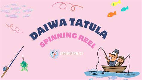 Daiwa Tatula Vs Shimano Stradic Spinning Reels Best Product
