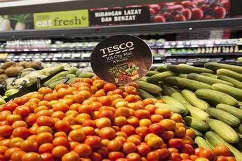 Tesco To Start Paying Dividends Again Thanks To Firmly On Track