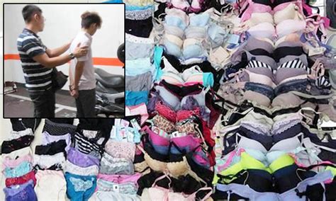 Perv Who Stole And Collected A Museum Of Stolen Uni Girls Underwear Has Been Arrested