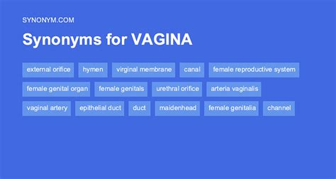 Another Word For Vagina Synonyms Antonyms