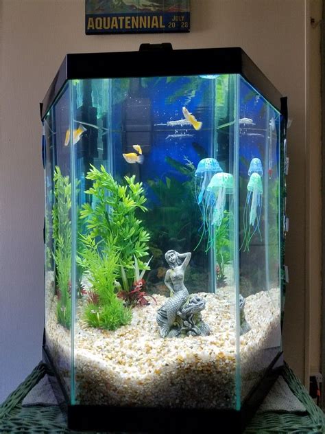 Famous Fish Tank Ideas 20 Gallon References