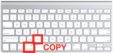 Copy And Paste On Macbook