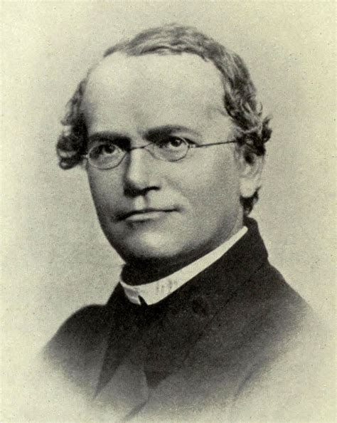 Quem Foi O Gregor Mendel