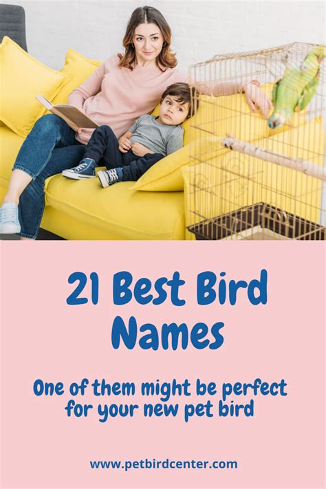 21 Best Bird Names In 2021 Pet Bird Cute Names Pets