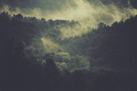 Cloud Dark Fog Forest Landscape Light Mist Nature Photos In  Format