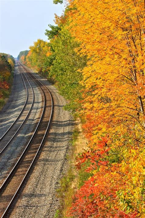 Train Tracks In Autumn Stock Photo Image Of Travel Distant 16439726