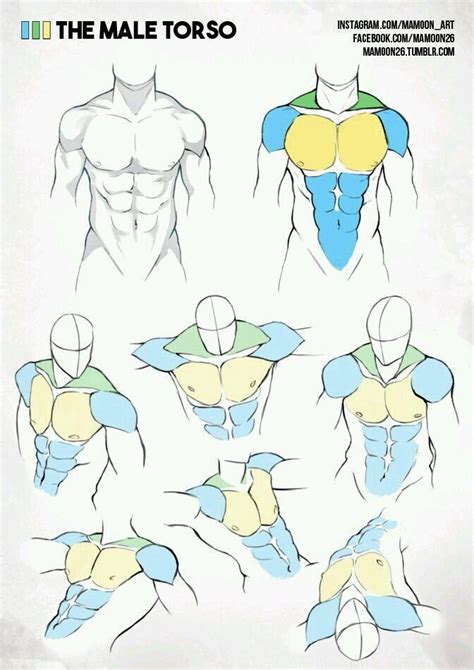 Pin De 𝒂𝒓𝒊 En Art En 2020 Dibujo Musculos Bocetos Dibujo Anatomia