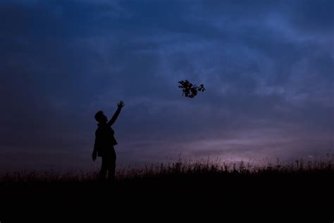 3840x2160 Wallpaper Silhouette Of Person Throw A Flower In Mid Air