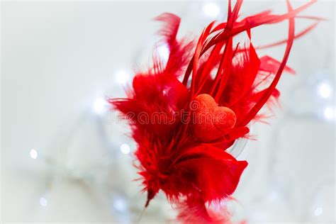 Red Heart Is Laying On Pile Of Red Feathers Stock Photo