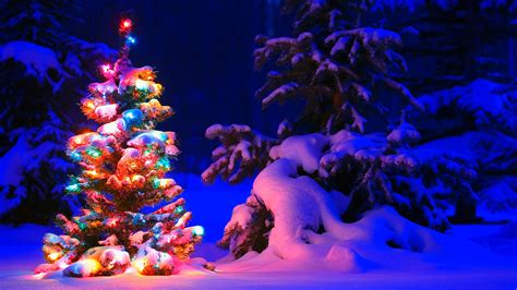 🔥 Download Lighted Christmas Tree In Winter Forest Hd Wallpaper