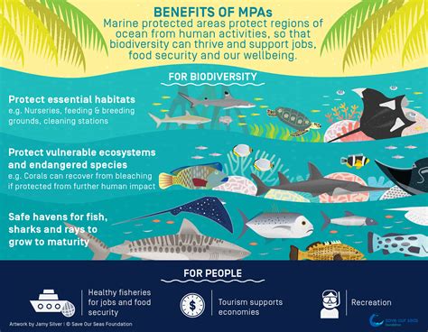 Benefits Of Marine Protected Areas Save Our Seas Foundation