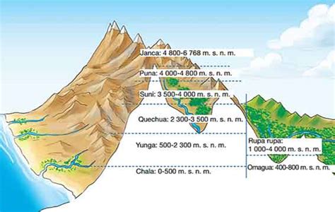 Descubre Todo Sobre Las Ocho Regiones Naturales Del Per