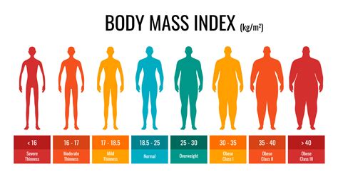 BMI Classification Chart Measurement Man Set Male Body Mass Index Infographic With Weight