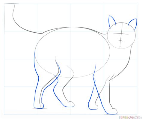 How to draw a cat easy? How to draw a Realistic Cat | Step by step Drawing tutorials