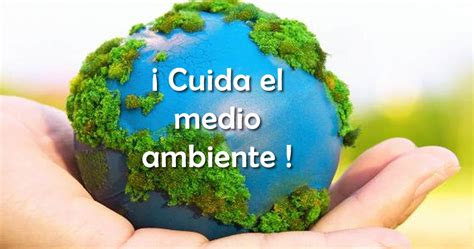 Cómo proteger el medio ambiente Salud ambiental Medio ambiente Cuidado del medio ambiente