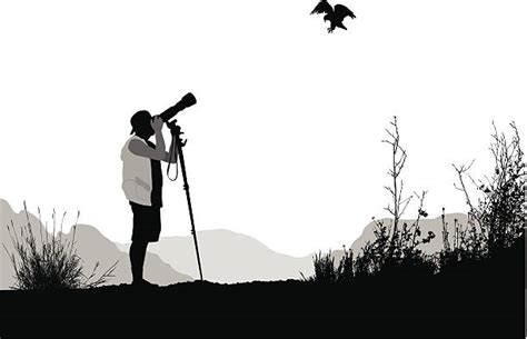420 People Birdwatching Illustrations Royalty Free Vector Graphics
