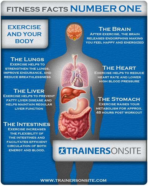 30 Best Health Factstrivia Images On Pinterest Fitness Facts Health