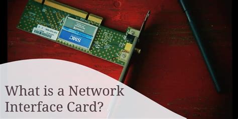 What Is A Network Interface Card A Guide To How Network Interface