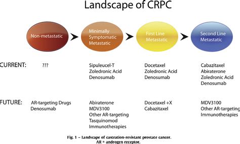 Figure From New Therapies For Castration Resistant Prostate Cancer