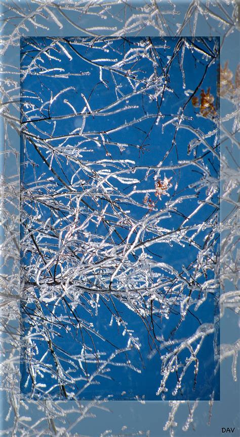 Ice Crystal Art Photograph By Debra Vatalaro Fine Art America