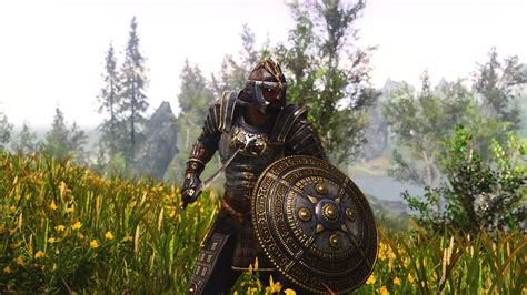Amidianborn Blades Armor At Skyrim Nexus Mods And Community