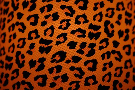 Thinking About The Girl In All Leopard Imagem Jpeg Imagens