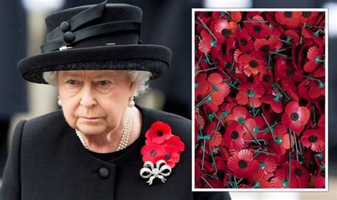 How To Wear A Poppy Which Side Does The Queen Wear Her Poppy On