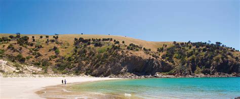 Best Kangaroo Island Caravan Parks And Camping Spots South Australia