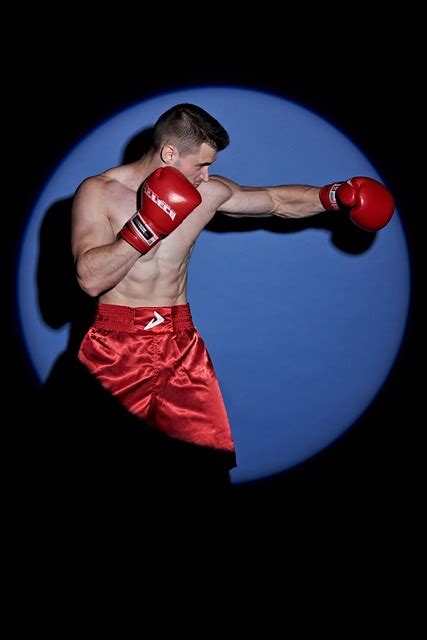 Boxing Model Sport Free Photo On Pixabay