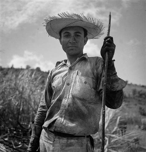 Rural Puerto Rico In Rare Photographs 1938 1943 Rare Historical Photos
