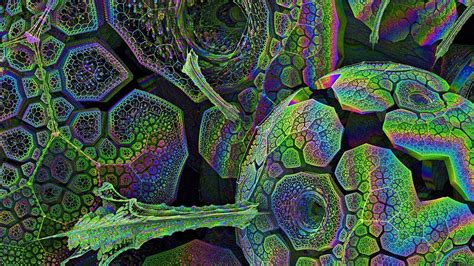 Psychedelic Rainbow Visuals 4k Living Art Loops 12