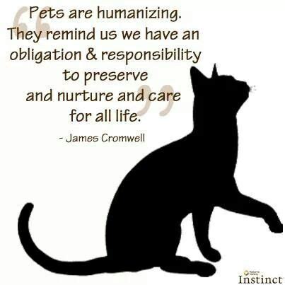 This can cause the pet to have episodes of anxiety, stress, and even become aggressive. Pets are humanizing. They remind us we have an obligation & responsibility to preserve and ...