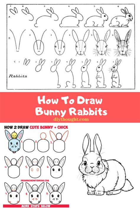 How To Draw Bunny Rabbits Diy Thought