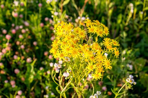 SUBSTRATE: Synonyms and Related Words. What is Another ...