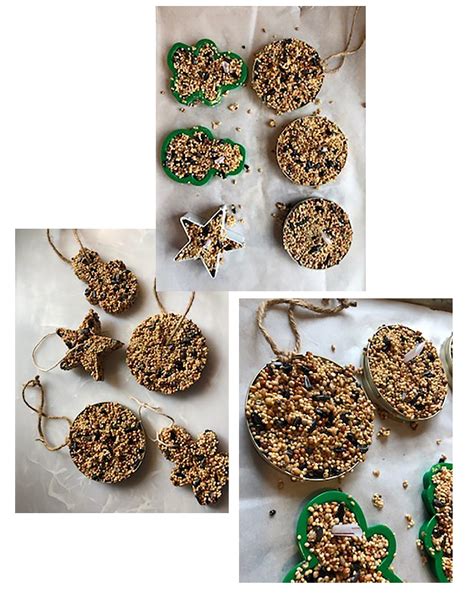 How To Make Birdseed Ornaments Pittsburgh Earth Day
