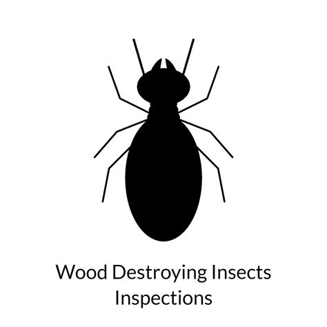 Home Inspection - Detail View Home Inspections